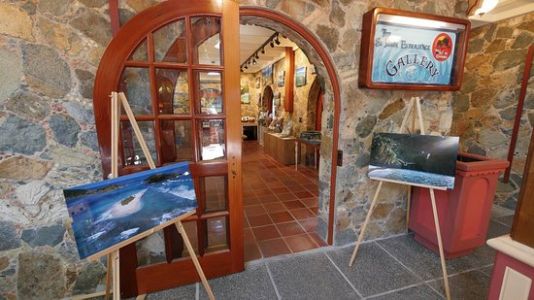 St. John Experience Gallery