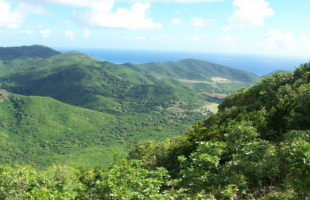 Shekerley Mountains